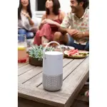 Bose - Portable Smart Speaker with built-in WiFi, Bluetooth, Google Assistant and Alexa Voice Control - Luxe Silver (829393-1300)