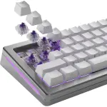 Glorious - Lubed Mechanical Keyboard 5-pin Hot Swappable Switches (110x) - Tactile - Mako (GLO-KB-ACC-SWT-MAKO-LUBED-1100