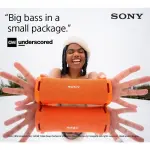 Sony - ULT FIELD 1 Wireless Speaker - Forest Gray (SRSULT10/H)