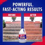 30 Seconds 1 Gal. Outdoor Cleaner Multipurpose Pressure Washer Cleaner (100550254)