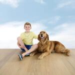 Malibu Wide Plank French Oak Alturas 22 MIL 7.2 in. x 48 in. Click Lock Waterproof Luxury Vinyl Plank Flooring (19.12 sq. ft./case) (HDMVCL9477RC)