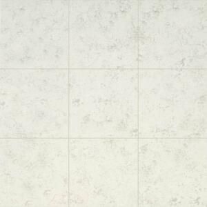 TrafficMaster Baja White 12 in. x 12 in. Matte Ceramic Floor and Wall Tile (15 sq. ft. /Case) (NHDBAJWHI1212C)