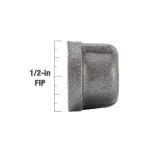 Southland 1/2 in. Black Malleable Iron Cap Fitting (521-403HN)
