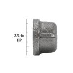 Southland 3/4 in. Black Malleable Iron FIP Cap Fitting (521-404HN)