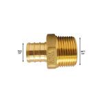 Apollo 3/4 in. Brass PEX-B Barb x 3/4 in. Male Pipe Thread Adapter (APXMA3434)