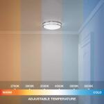 Commercial Electric 16 in. Smart Round RGB Color Selectable LED Brushed Nickel Flush Mount