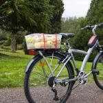 HDX 24 in. Super Strong Bungee Cord (4-Pack) (4T960N)