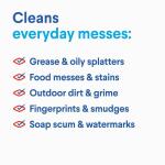 Clorox 32 oz. Bleach-Free Disinfecting All-Purpose Cleaner Spray, Crisp Lemon Scent (4460060044)