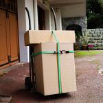 HDX Flat Bungee Cord Assortment (6-Piece) (JB6FSB)