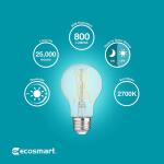 EcoSmart 60-Watt Equivalent A19 Dimmable CEC Dusk to Dawn Clear Glass Filament LED Light Bulb Soft White (11CFA1960WDTD01)