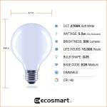 EcoSmart 60-Watt Equivalent G25 Globe Dimmable ENERGY STAR Filament LED Frosted Vintage Light Bulb Soft White 3-Pack (FG-03393)