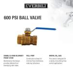 Everbilt 1/2 in. Brass FPT Full Port Threaded Ball Valve (107-403EB)