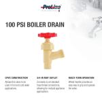 Everbilt 1/2 in. CPVC Solvent-Weld Boiler Drain Valve (102-223HN)