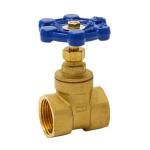 Everbilt 1 in. x 1 in. Brass FPT Compact-Pattern Threaded Gate Valve (100-405EB)