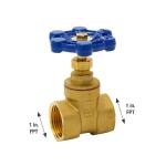 Everbilt 1 in. x 1 in. Brass FPT Compact-Pattern Threaded Gate Valve (100-405EB)