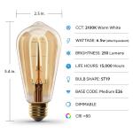 Feit Electric 40-Watt Equivalent ST19 Dimmable M Shape Filament Amber Glass E26 Vintage Edison LED Light Bulb, Warm White 2100K (ST1940/M/LED/HDRP)