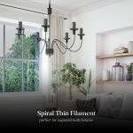 Feit Electric 60-Watt Equivalent B10 Double Spiral White Thin Filament Clear E12 Candelabra LED Light Bulb, Daylight 5000K 2-Pack (CTC60S2950WFILHDRP/2)