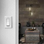 Feit Electric 60-Watt Equivalent ST19 Dimmable White Filament Clear Glass E26 Vintage Edison LED light Bulb, Daylight 5000K 4-Pack (ST1960950CAWFILHDRP4)