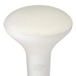 65-Watt Equivalent BR30 Dimmable Flood LED Light Bulb Soft White 12-Pack (A20BR3065WULD12)