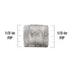 Southland 1/2 in. Galvanized Malleable Iron FPT x FPT Coupling Fitting (511-203HN)
