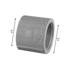 Charlotte Pipe 1/2 in. Sch. 80 PVC S x S Coupling (PVC081001000HA)