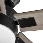 Hampton Bay 52 in. Corwin Indoor/Outdoor Matte Black LED Ceiling Fan with Light Kit (56051)