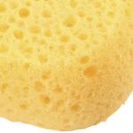 HDX 2pcs. Multi-Purpose Sponge (32242)