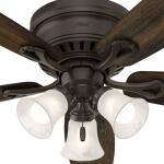 Hunter Oakhurst 52 in. LED Indoor Low Profile New Bronze Ceiling Fan with Light Kit (52016)