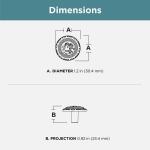 Liberty Sundial 1-3/8 in. (35 mm) Classic Antique Brass Round Cabinet Knob (P775A0H-AB-C0)