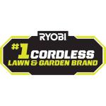 RYOBI 40V 10 in. Cordless Battery Pole Saw with 2.0 Ah Battery and Charger (RY40560)