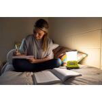 RYOBI ONE+ 18V Cordless LED Area Light with USB (Tool Only) (PCL662B)