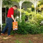 TERRO 3 lb. Outdoor Ant Killer Plus Granules – Multi-Purpose Insect Control Shaker Ba(T901-6)