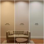 Commercial Electric 1 ft. x 4 ft. 40-Watt Dimmable White Integrated LED 4000 Lumens Frameless Flat Panel with Color Change 3CCT (19000000)