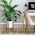 Legrand Wiremold CordMate II Cord Cover 5 ft. Channel, Cord Hider for Home or Office, Holds 3 Cables, White (C50)