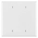 Leviton 2-Gang White Blank Plate Nylon Midway/Midsize Wall Plate (1-Pack) - R52-0PJ23-00W