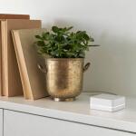 Lutron Diva Smart Dimmer Switch Starter Kit for Caseta Smart Lighting