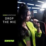 Shure SM58 Pro XLR Dynamic Microphone