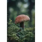 Olympus OM-5 Mirrorless Camera with 3.8x Digital Zoom Lens – Silver