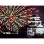 Nikon COOLPIX P1100 - Black (26541)