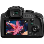 Panasonic LUMIX FZ80D 18.1MP 4K Camera with 60X Zoom – Black