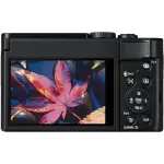 Panasonic LUMIX ZS99 4K Camera with 30x Optical Zoom - Black