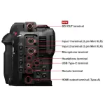 Canon - EOS C80 6K Video Mirrorless Cinema Camera - Black (Body Only)