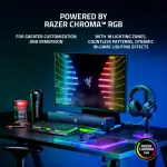 Razer - Leviathan V2 Bluetooth Gaming Speakers (2-Piece) - Black (RZ05-03920100-R3U1)