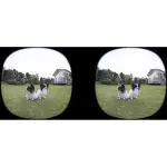 Canon RF-S 3.9mm f/3.5 STM Dual Fisheye Lens – Black