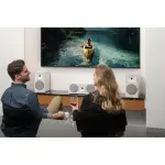 MartinLogan - Motion Foundation C1 2.5-Way Center Channel Speaker with Dual 5.5” Midbass Drivers (Each) - Black (FC1B)