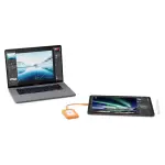 LaCie Rugged Mini SSD 1TB Solid State Drive - USB 3.2 Gen 2x2, - Silver and Orange (STMF1000400)