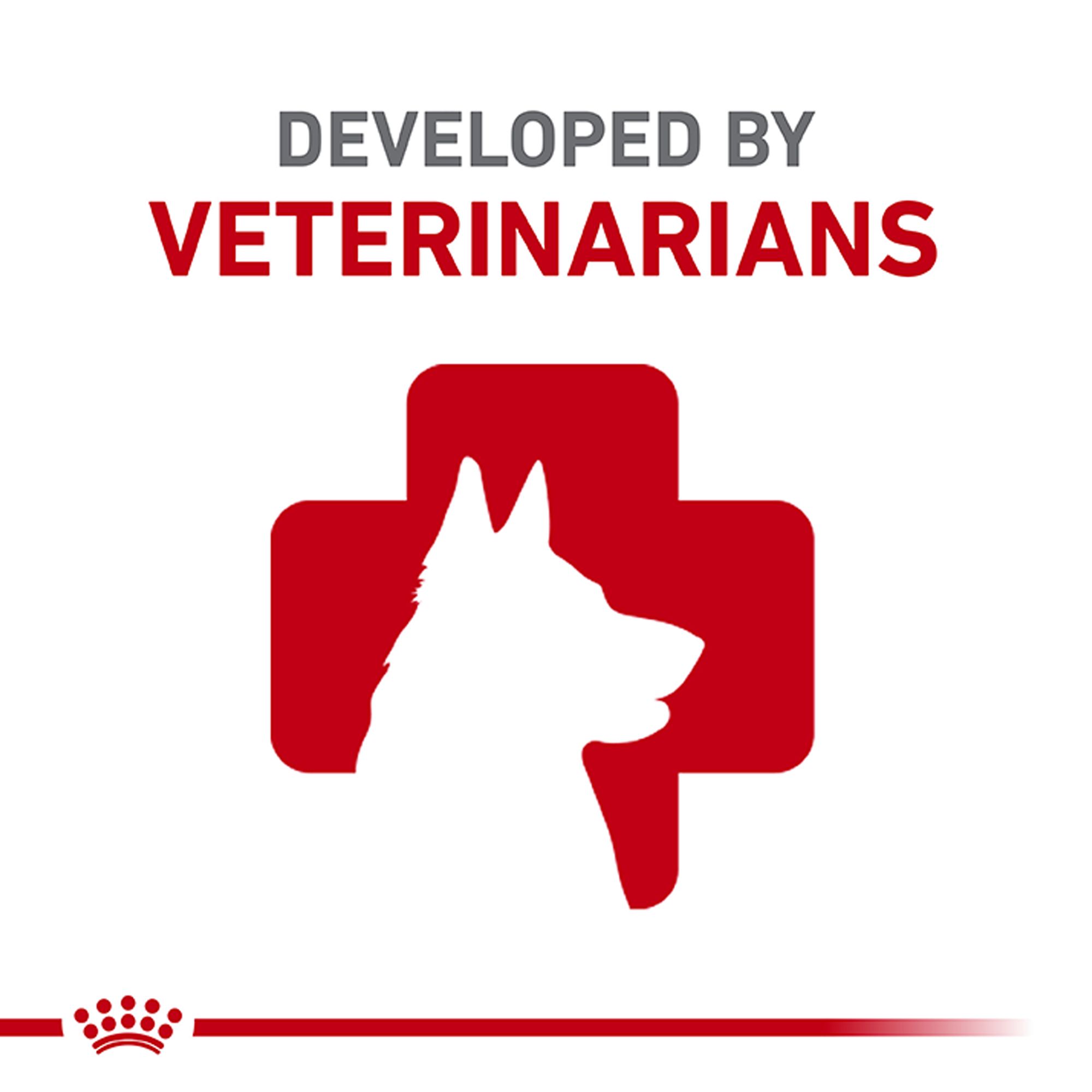 Royal Canin Medium Breed Puppy Dog Wet Food - Image 6