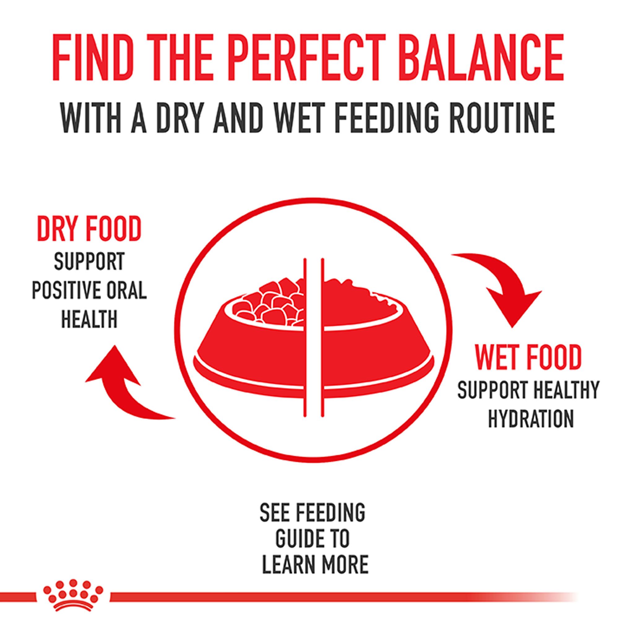 Royal Canin Canine Care Nutrition Adult Wet Dog Food – Digestive Care, Original - Image 3