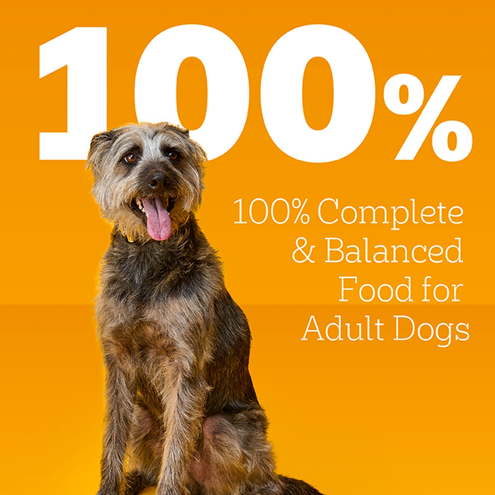 Pedigree® Chopped Ground Dinner Adult Wet Dog Food - Chicken & Beef Variety Pack - Image 4