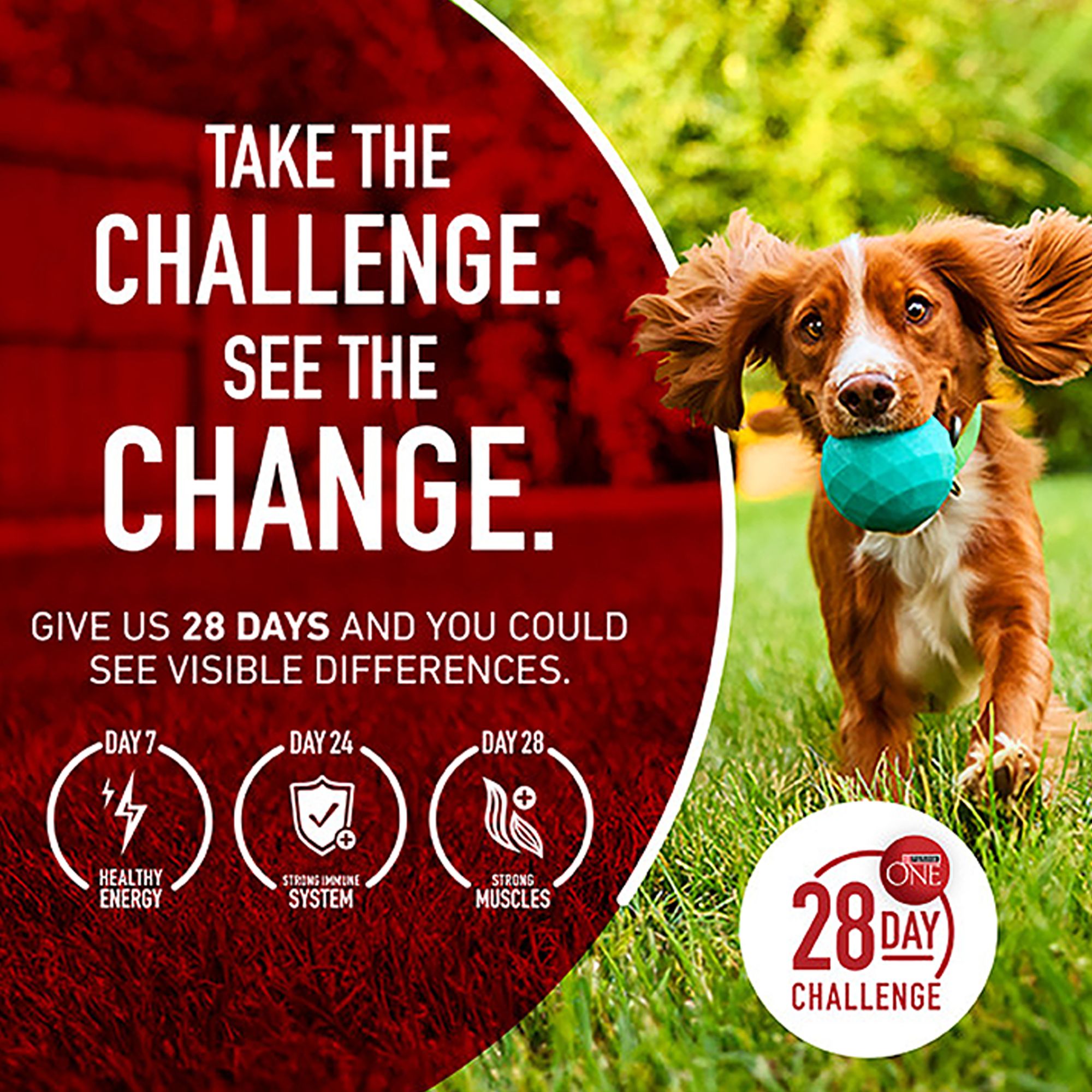 Purina ONE® SmartBlend Everyday Nutrition Adult Dog Wet Food - Natura Chicken & Brown rice Entree - Image 4
